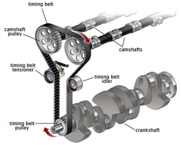 timing belt