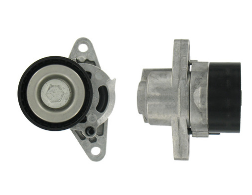 Tensioner Assembly